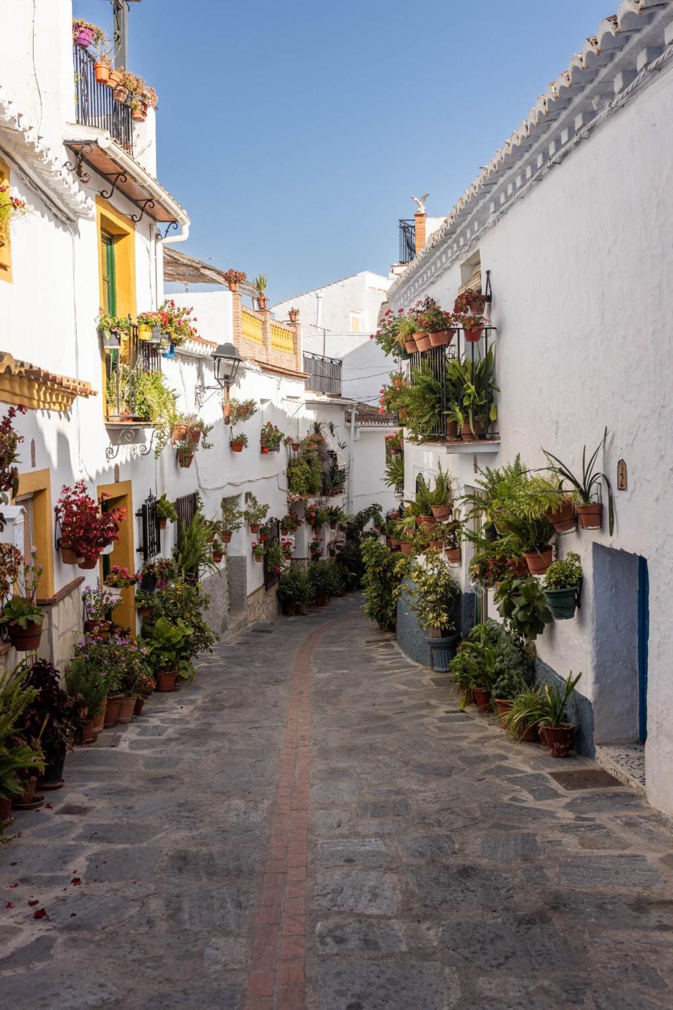 Olive&Ivy Guesthouse Canillas de Aceituno Eksteriør billede