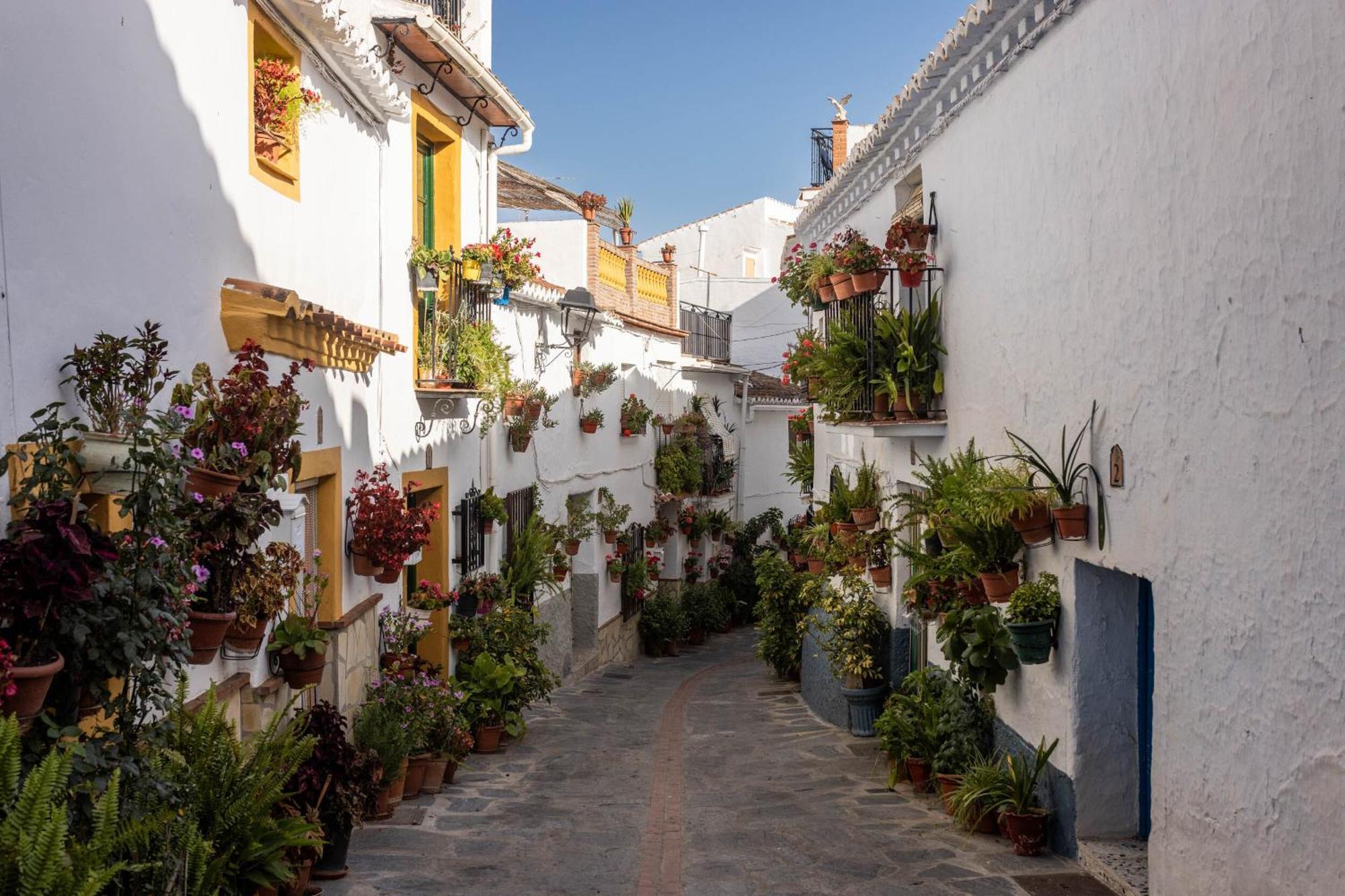 Olive&Ivy Guesthouse Canillas de Aceituno Eksteriør billede