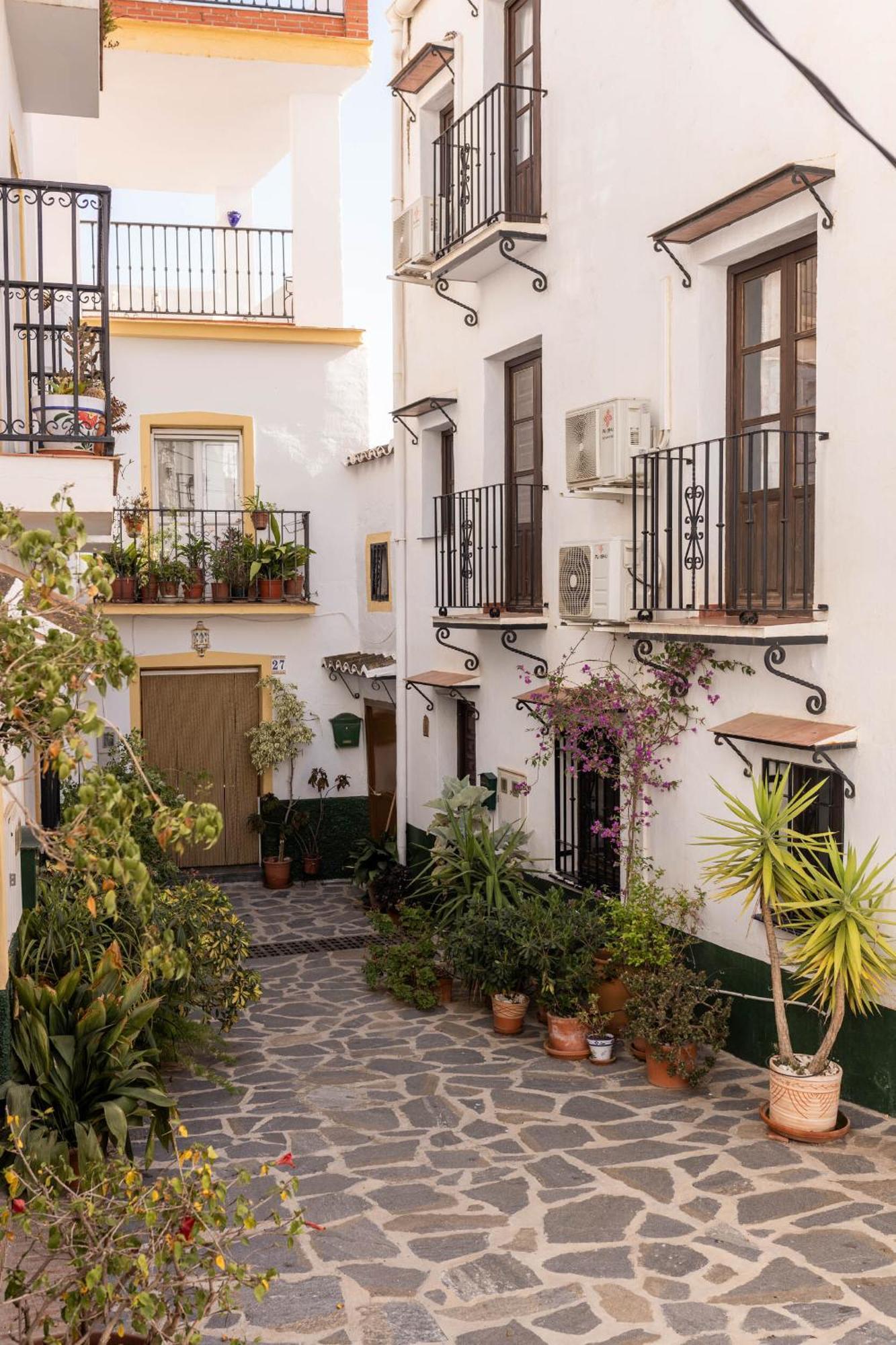 Olive&Ivy Guesthouse Canillas de Aceituno Eksteriør billede